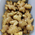 Export Bulk Wholesale Fresh Young Ginger Root